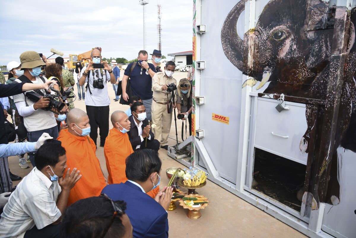 The container holding Kaavan the elephant is blessed by monks upon its arrival in Cambodia from Pakistan.