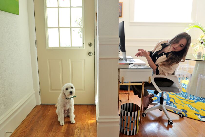 SAN FRANCISCO, CA - APRIL 6: Rira Raisi stops to check on her dog Pablo in her home where she has been working during the COVID-19 pandemic in San Francisco Calif., on Tuesday, April 6, 2021. Raisi is hoping to return to work with a hybrid schedule that includes several work from home days. (Carlos Avila Gonzalez/The San Francisco Chronicle via Getty Images)