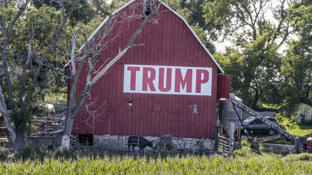 A field of corn is seen in front of a barn carrying a large Trump sign in Ashland, Neb., on July 24.