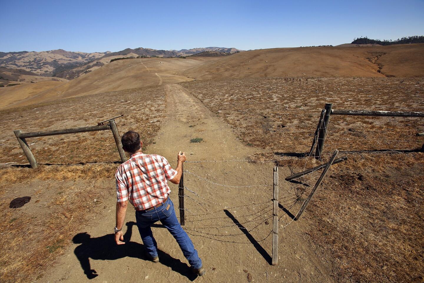 Closing a gate