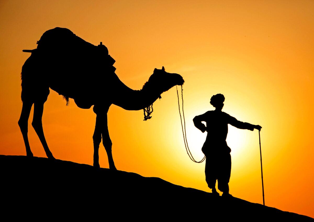 Peter Fay's photography comes from his world travels and his local community.