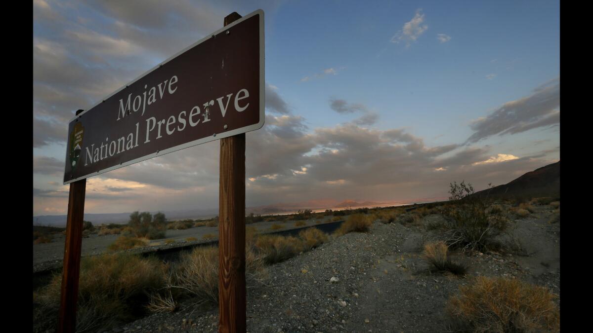 A proposed solar power project near the preserve leaves environmentalists concerned that it will disrupt the historic habitat of native desert bighorn sheep.