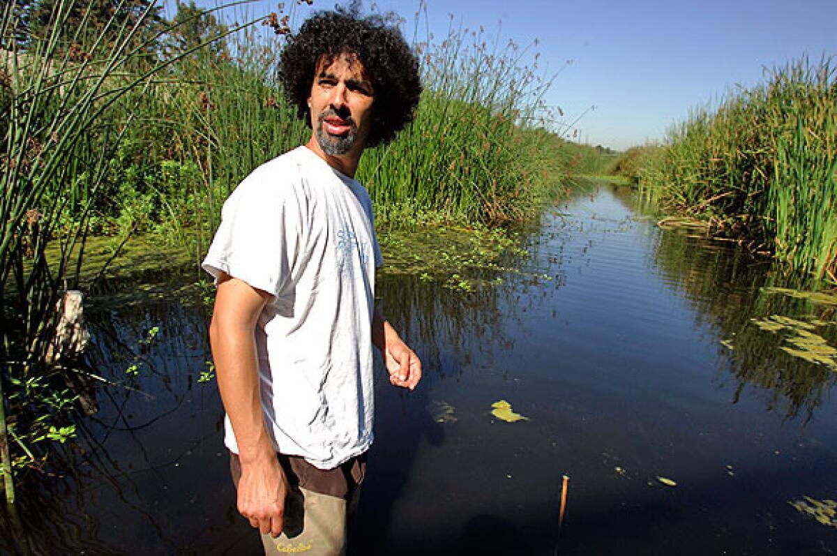 James Alamillo, a spokesman for Heal the Bay, explores Compton Creek near the 710 Freeway. In preparation for flood season, Los Angeles County bulldozes along the creek every fall, driving out wildlife.