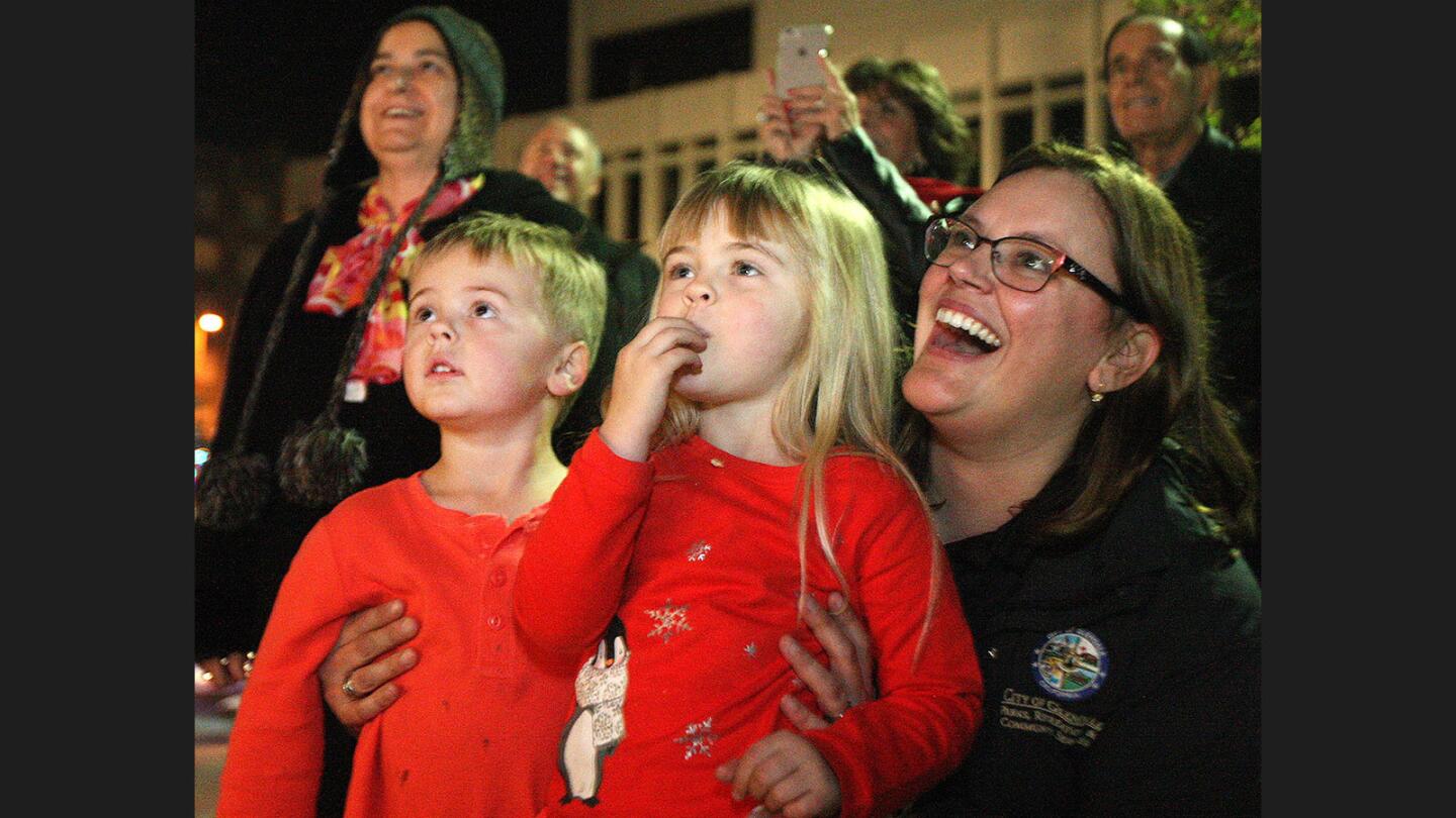 Photo Gallery: City of Glendale Tree Lighting