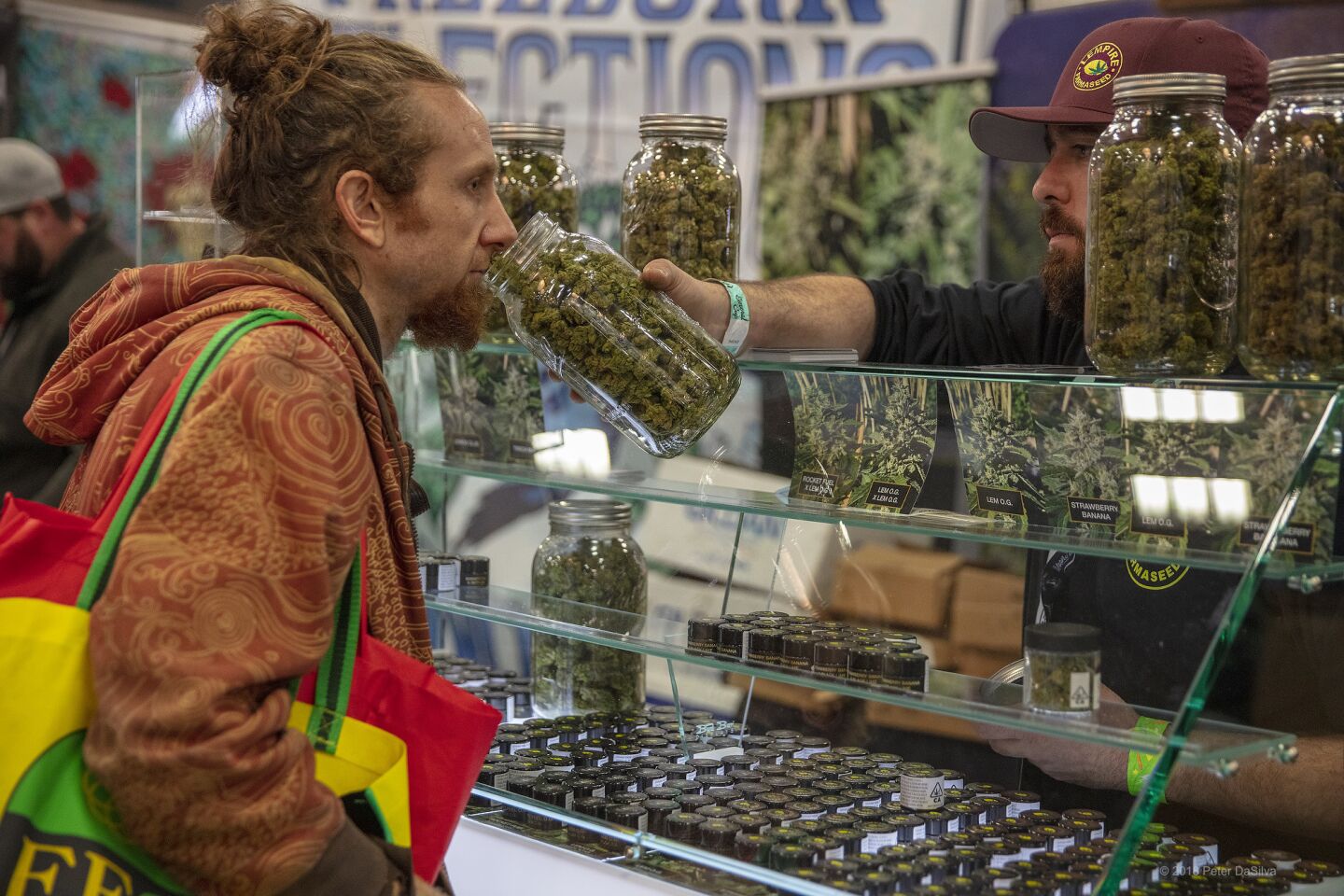 The sniff test at the Emerald Cup