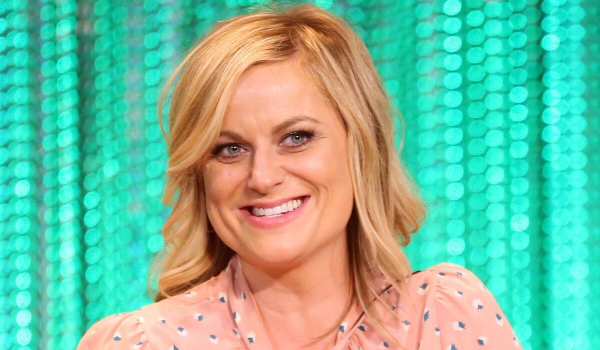 Amy Poehler's appearance at PaleyFest 2014 will be included in SundanceTV's "Behind the Story With the Paley Center."