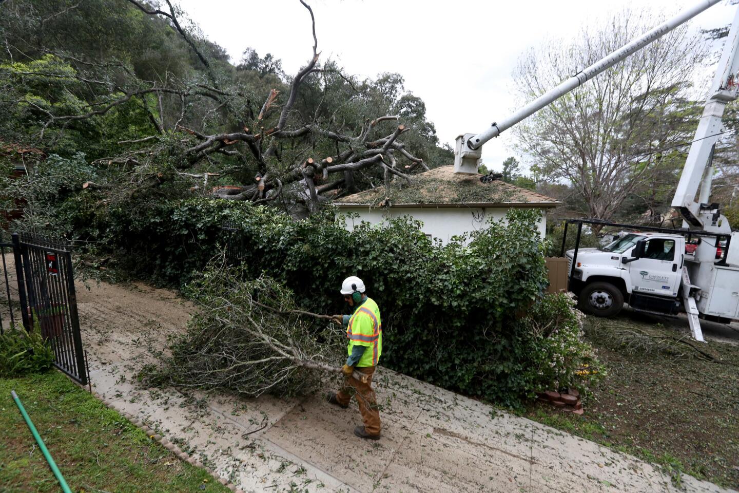 Photo Gallery: Large oak destroys home
