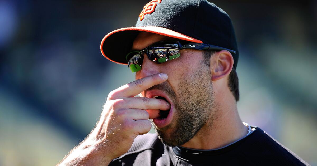 tobacco mlb rules sends reminder: No dipping at certain ballparks Chicago Tribune Smokeless tobacco ingrained in baseball,