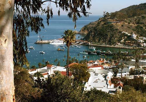 The harbor at Avalon is a welcome sight for visitors who arrive by sea. Once youre on dry land again, all of Santa Catalina Island, just off the coast of California, awaits. Take in the sights, shop, grab a bite to eat or just relax.