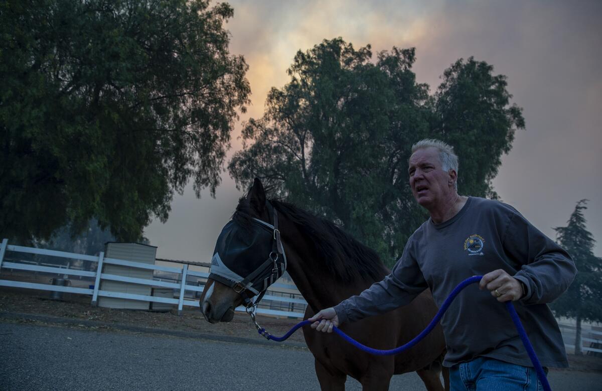 Horses are evacuated from Castle Rock Farms amid the Easy fire in Simi Valley