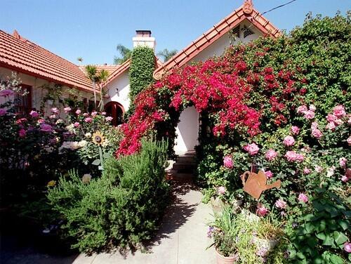 An expansive bougainvillea creates an intimate bower in front of an Orange County home.