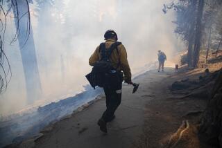 SEQUOIA NATIONAL PARK, CA - JULY 8, 2019: A wildland firefighter carries his gear through thick smoke during a prescribed burn to get rid of dead non-sequoia trees and fallen brush in the Giant Sequoia Forest near General Sherman on July 8, 2019 in Sequoia National Park, California.(Gina Ferazzi/Los AngelesTimes)