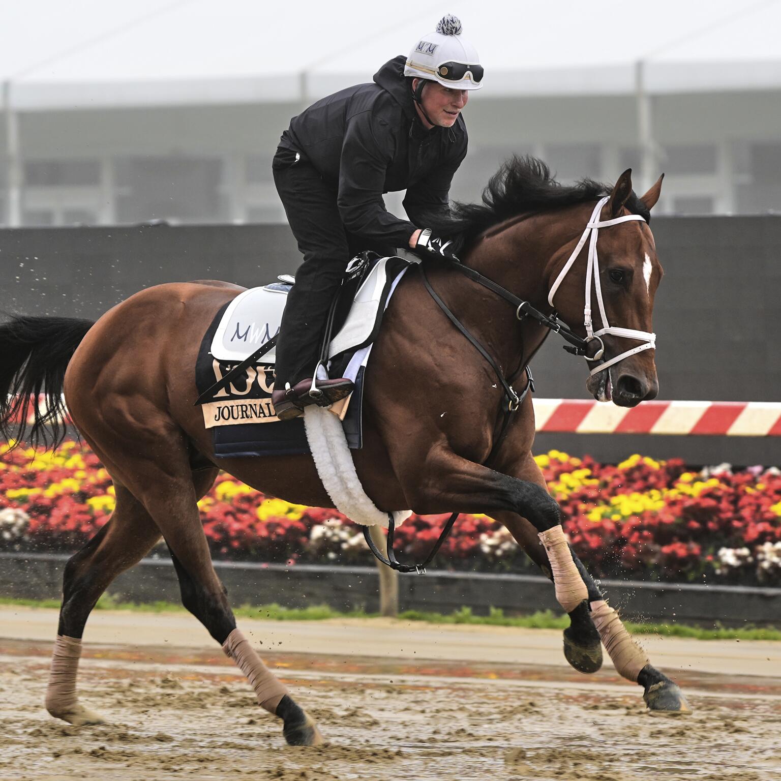 2025 Preakness Stakes live updates, start time, TV channel and odds Who Won Preakness 2025