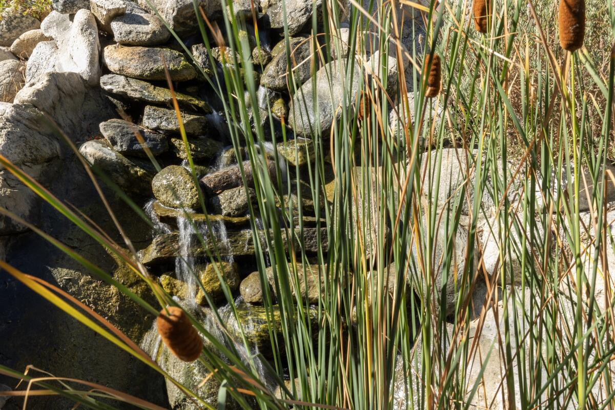 A miniature waterfall flows into a small rock-lined pond filled with cattails.