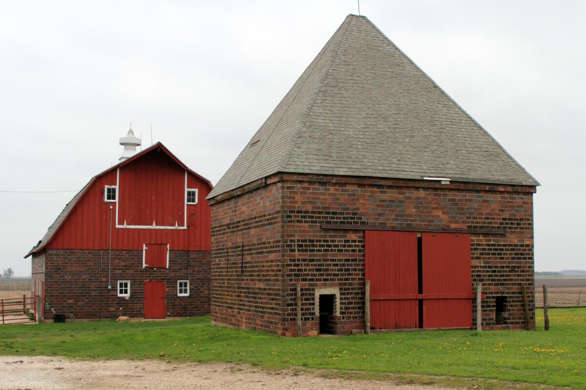 Ferguson barn, 40415 130th Avenue, Laurens (Pocahontas County) - Barn is 3.75 miles straight north of Laurens at 40415 130th Avenue. Barn and landmark "conehead" crib were built in 1912. Elevator still works.