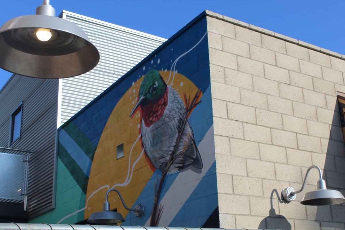 A hummingbird on the side of the 330 Cedros building is visible from the street, behind the construction fence.