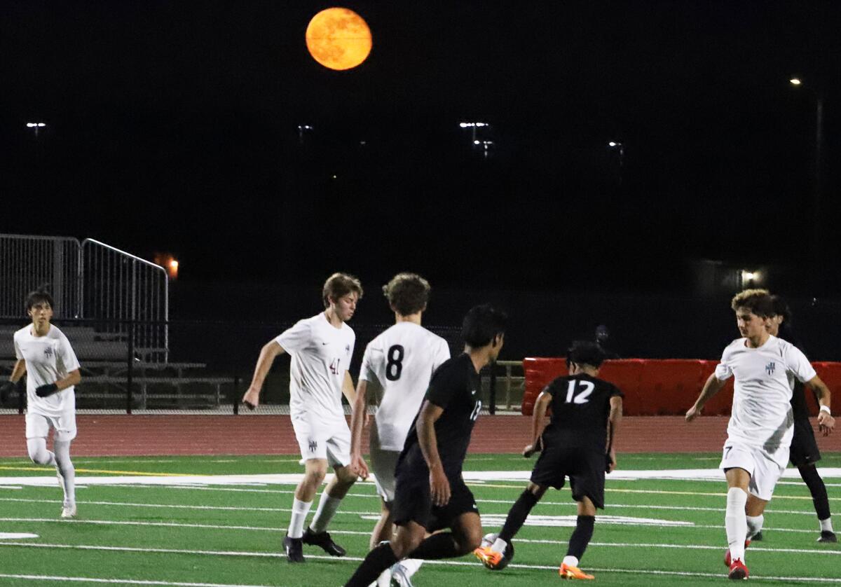 Los Amigos boys’ soccer continues hot start with win over Laguna Beach ...