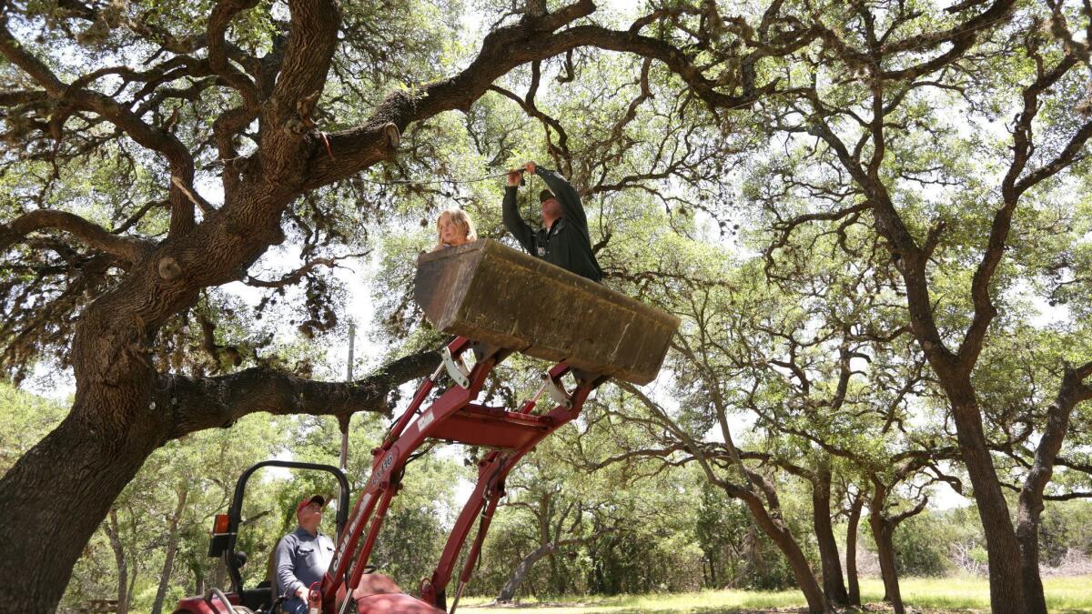 To prepare for dance night, Cody Kosub hangs lights on the trees outside the Twin Sisters Dance Hall, as his niece, Brailee Snow, 10, tags along and his father-in-law, Joe Haas, drives the tractor. (Katie Falkenberg / Los Angeles Times)