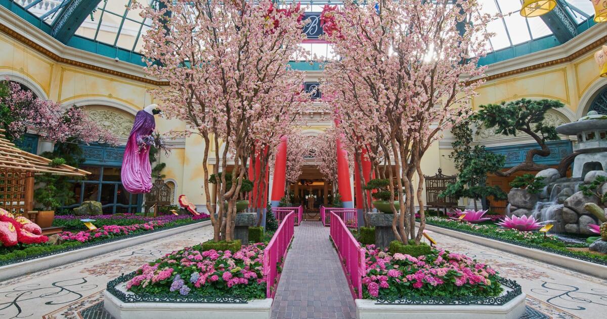 Bellagio's Conservatory & Botanical Gardens Celebrates Japan With