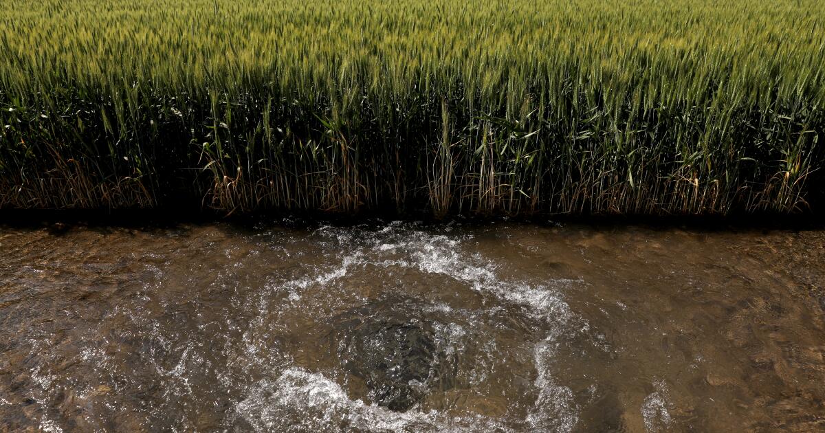 New California water measures aim to increase fines for violators, protect wetlands