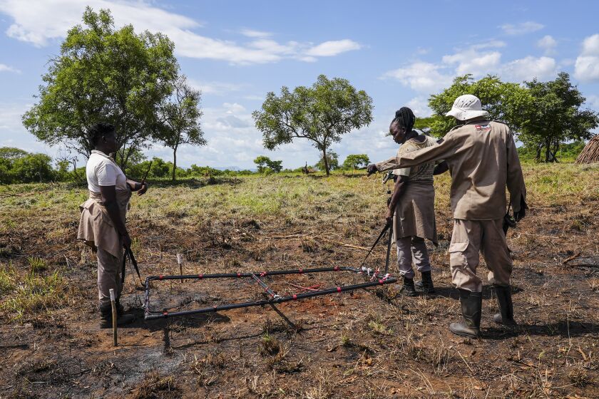 Deminers from the Mines Advisory Group (MAG) do clearance at a site containing cluster munitions in Ayii, Eastern Equatoria state, in South Sudan Thursday, May 11, 2023. As South Sudanese trickle back into the country after a peace deal was signed in 2018 to end a five-year civil war, many are returning to areas riddled with mines left from decades of conflict. (AP Photo/Sam Mednick)