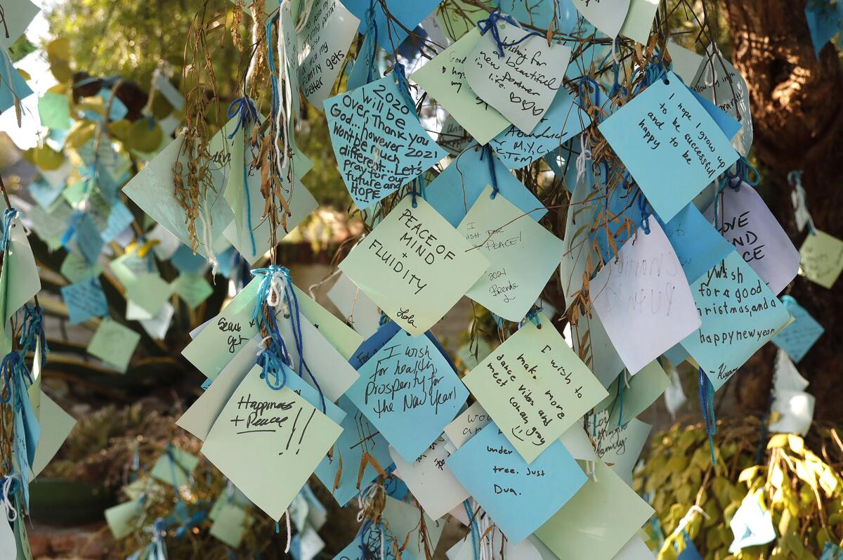 Colorful messages adorn the Sherman Library & Gardens wishing tree.