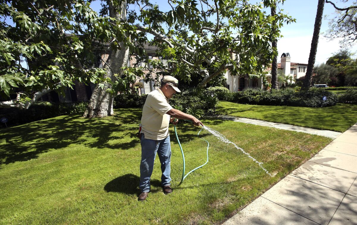 Landscaper Miguel Herrera waters the front lawn of a home in Beverly Hills on April 3.