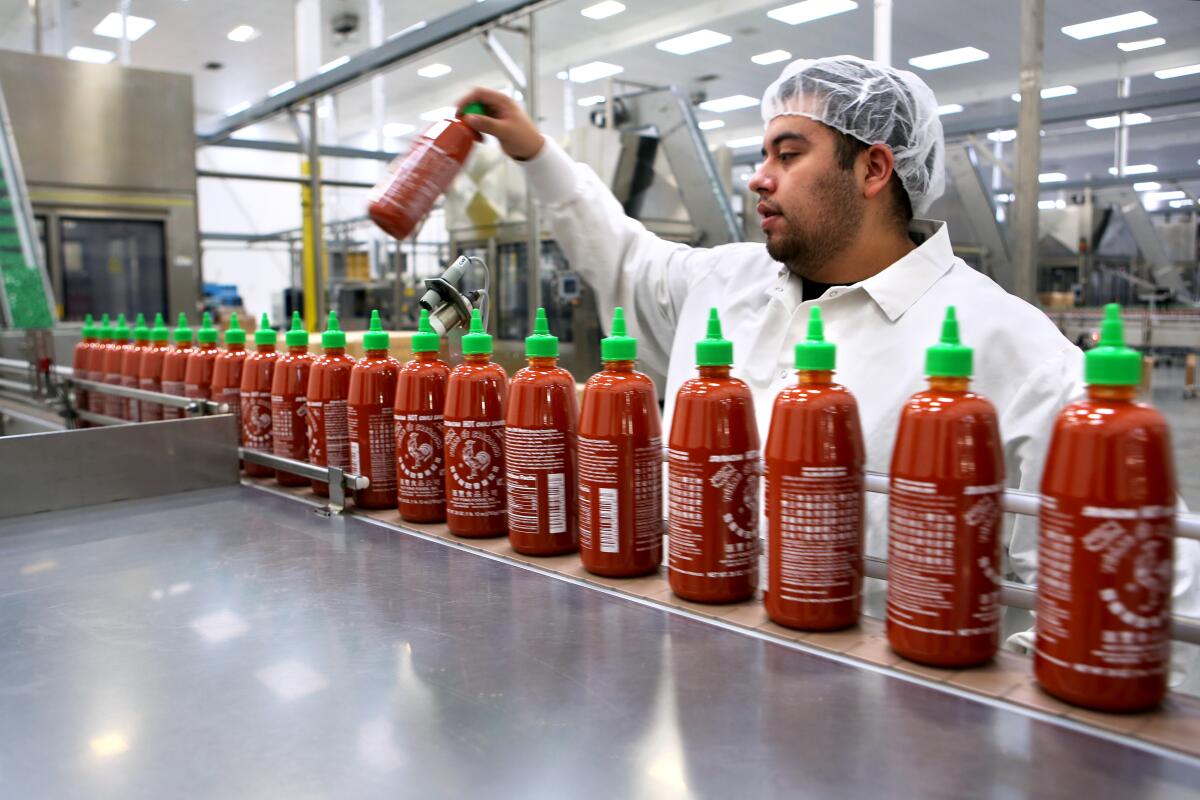 A worker keeps an eye on the production line as freshly filled Sriracha sauce bottles