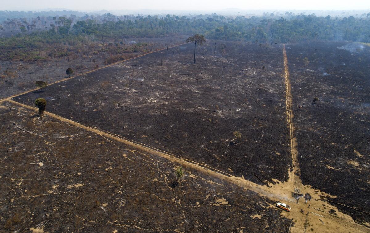An area consumed by fire and cleared near Novo Progresso in Para state, Brazil. 
