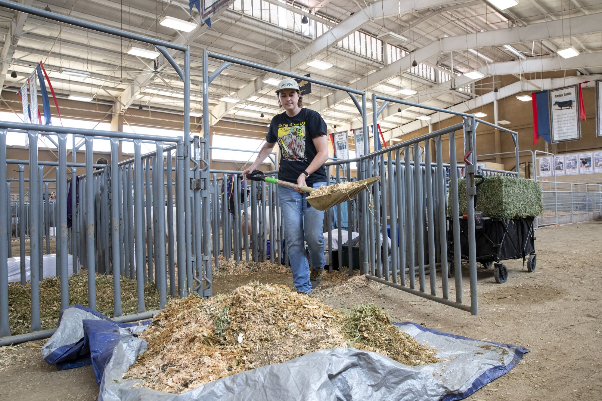 Emily Hylton, 25, of Poway, cleans goat cages at the County Fair.