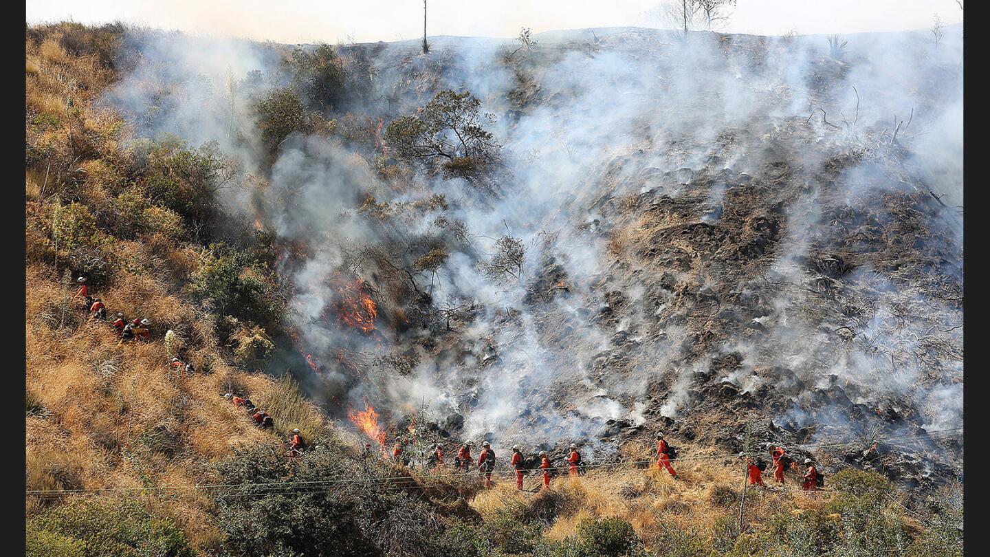 Photo Gallery: Brush fire above Hamline Place in Burbank foothills