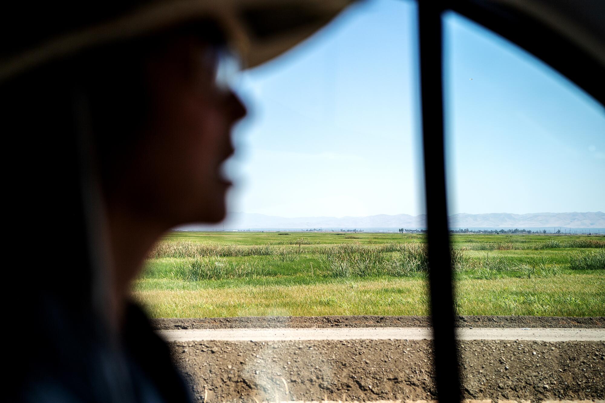 Robin Koda tours the rice fields at Koda Farms.