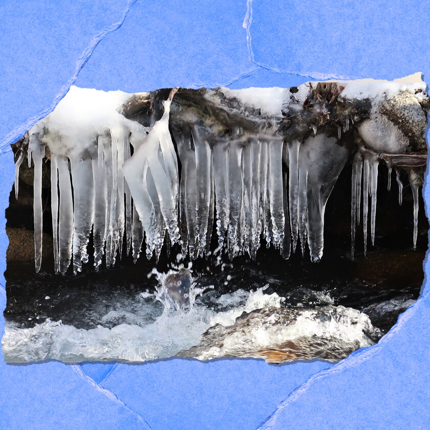 Ice along an Eastern Sierra stream.