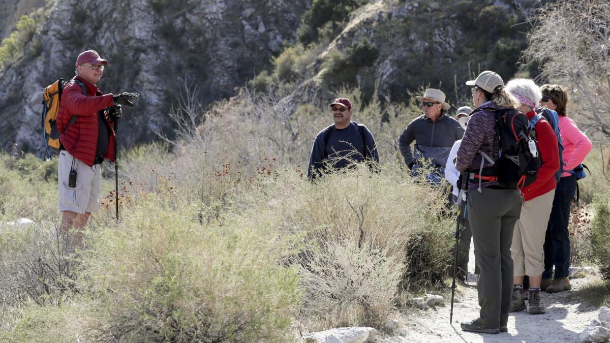 Hikers pass through the Whitewater Preserve.