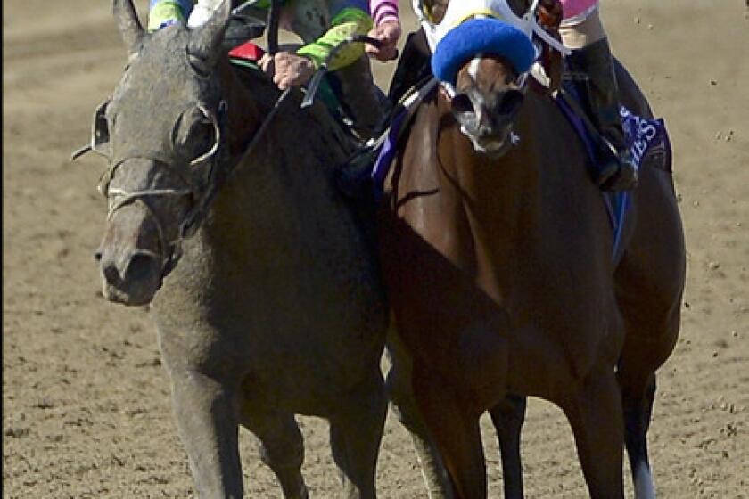 Ria Antonia, left, with jockey Javier Castellano aboard, drives down the stretch against She's a Tiger and jockey Gary Stevens in the Breeders' Cup Juvenile Fillies race on Saturday at Santa Anita Park.