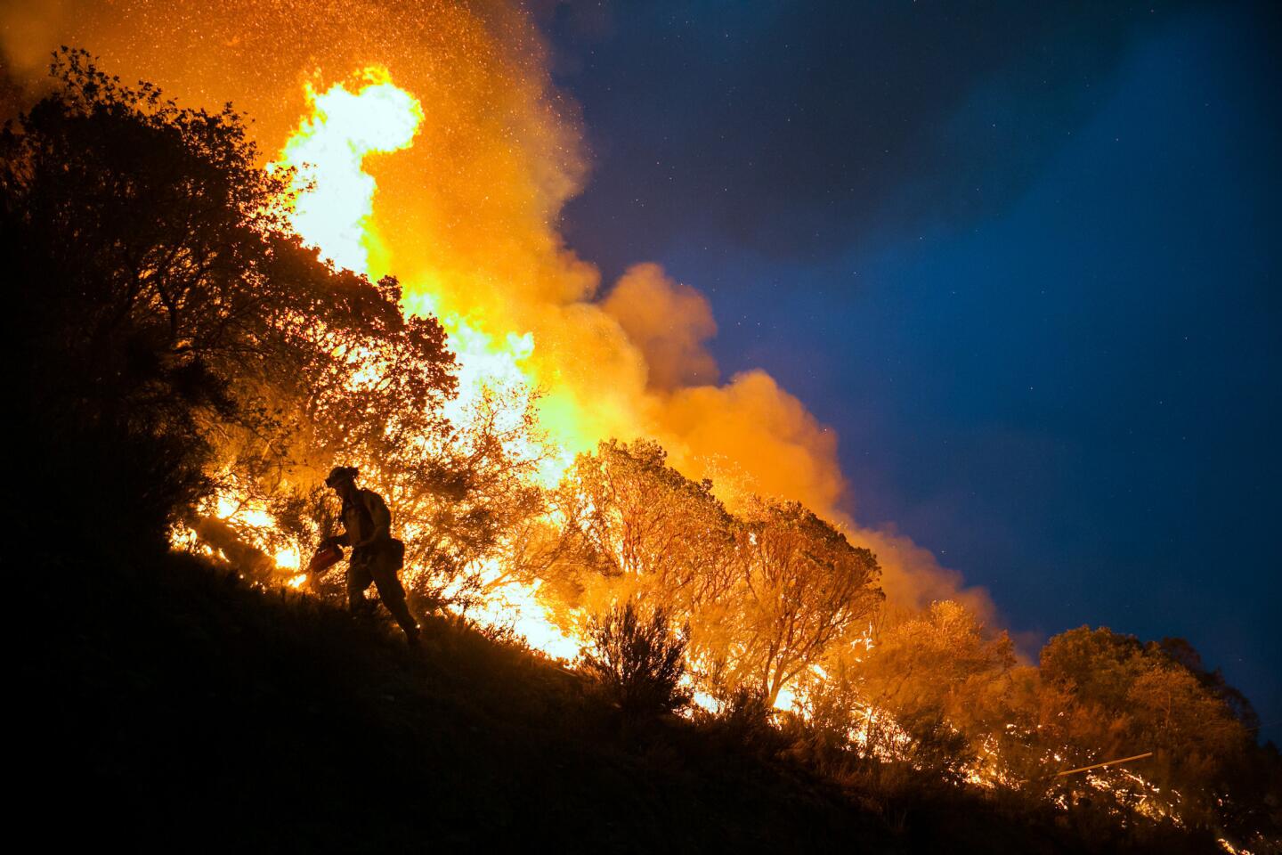 Butte fire