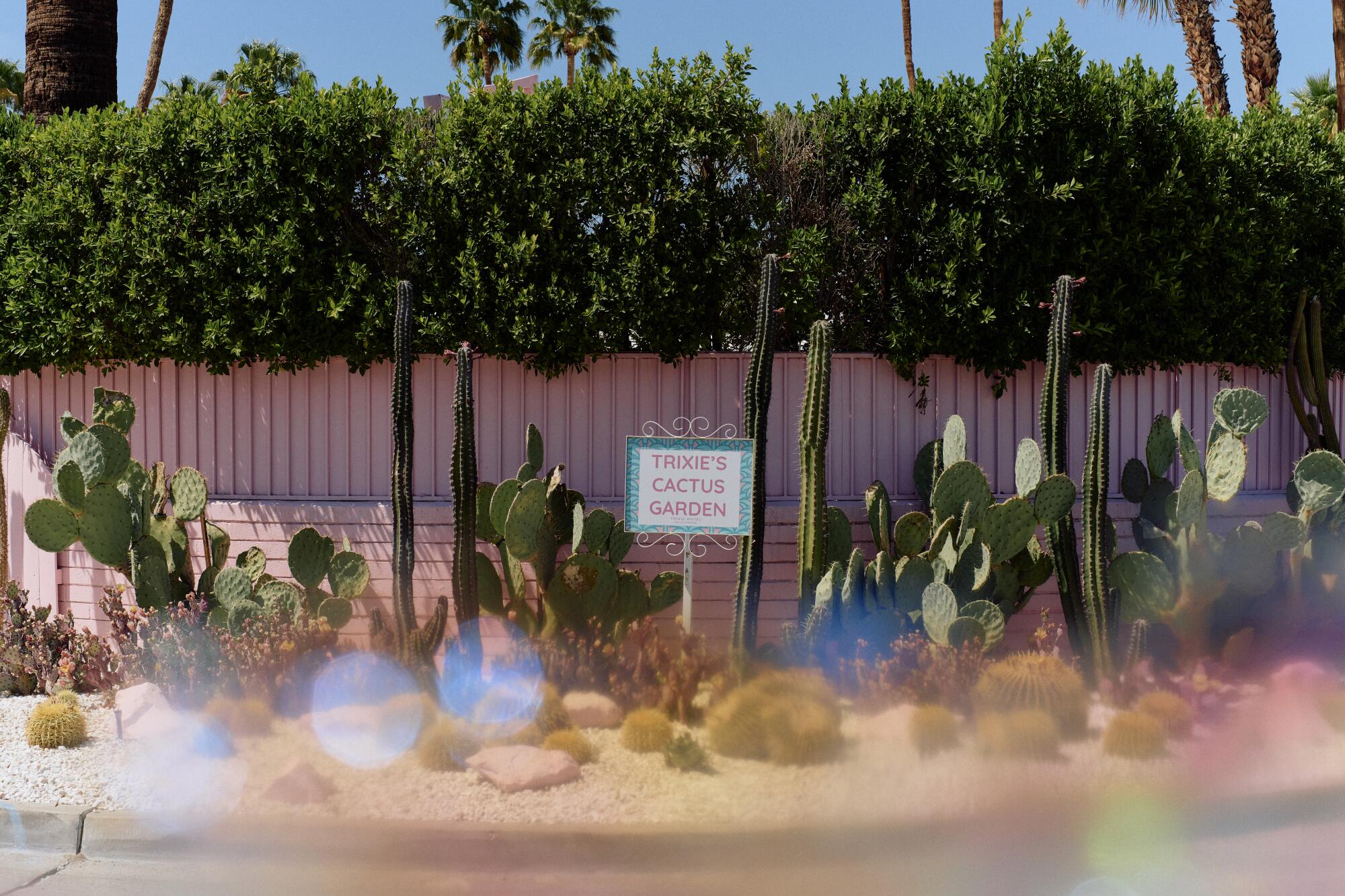 Photos: Motel California, the delight is in the details 102 The cactus garden at the Trixie Motel.
