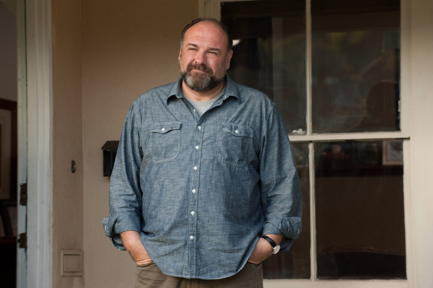James Gandolfini's untimely death in June overshadowed his well-regarded final performance in Nicole Holofcener's romantic comedy, so it was a surprise (though a welcome one) to see the actor honored posthumously with a nomination for supporting actor in a motion picture.