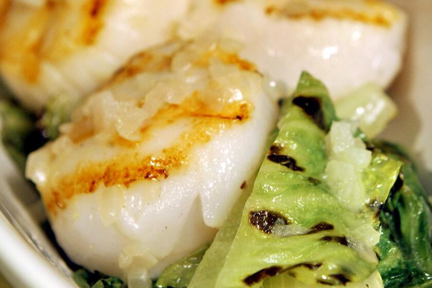 Grilled scallops with braised romaine