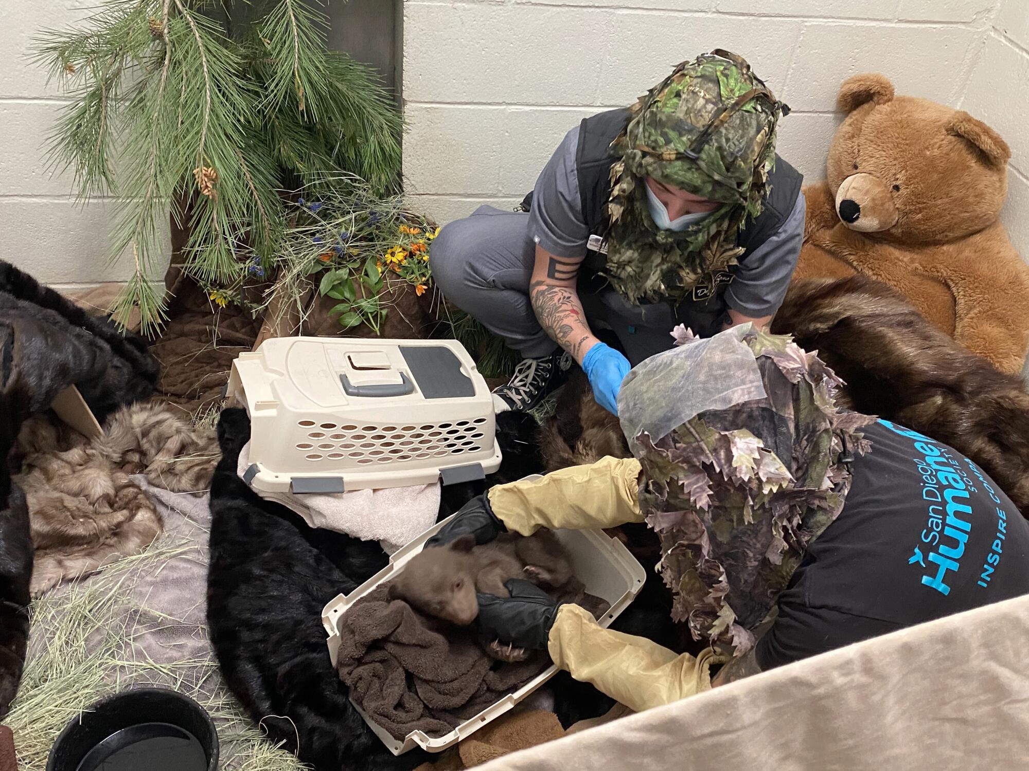 Two humans tend to a bear cub.