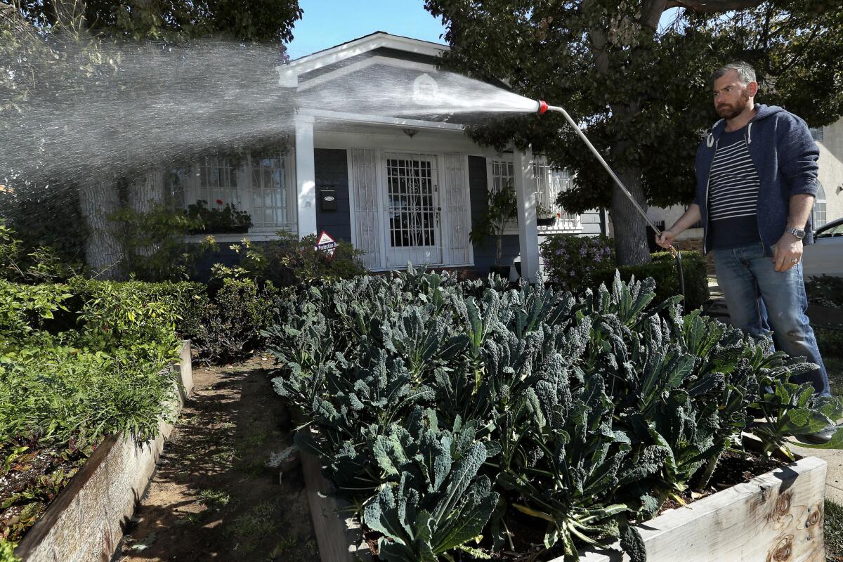 Kevin Meehan waters the plants in an urban garden located in the front yard of a home near his restaurant.