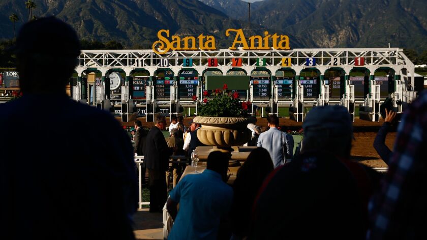 The starting gate at Santa Anita Park.