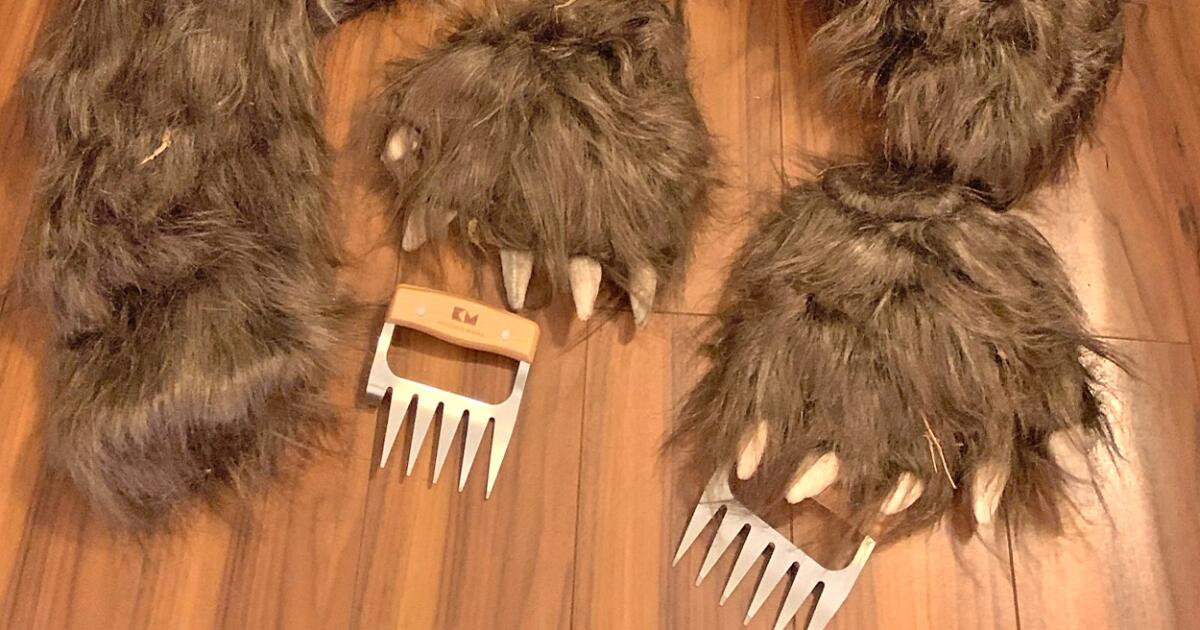 Ils se sont déguisés en ours et ont détruit une Rolls-Royce lors d’un événement d’assurance.