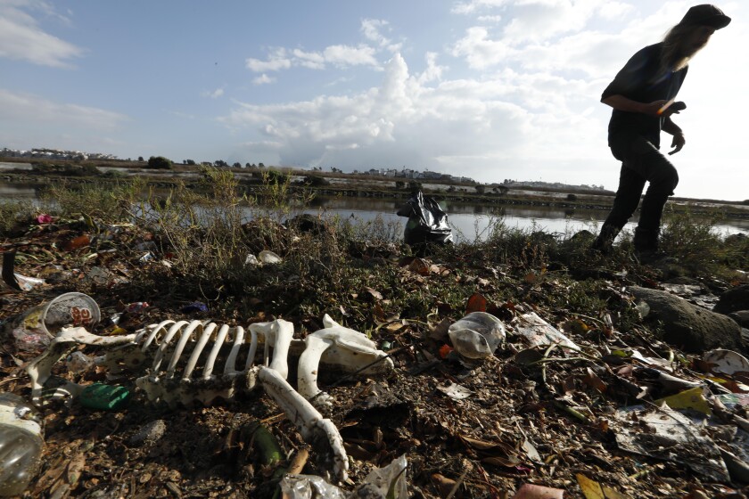 Los desechos de plástico se encuentran dispersos en la orilla de un arroyo.