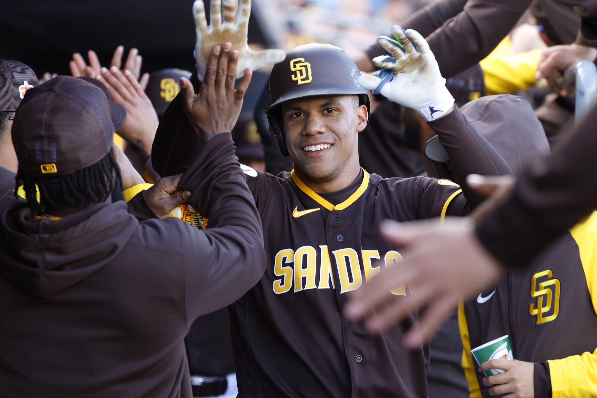 San Diego Padres' Juan Soto celebrates after a home run during a spring training game.