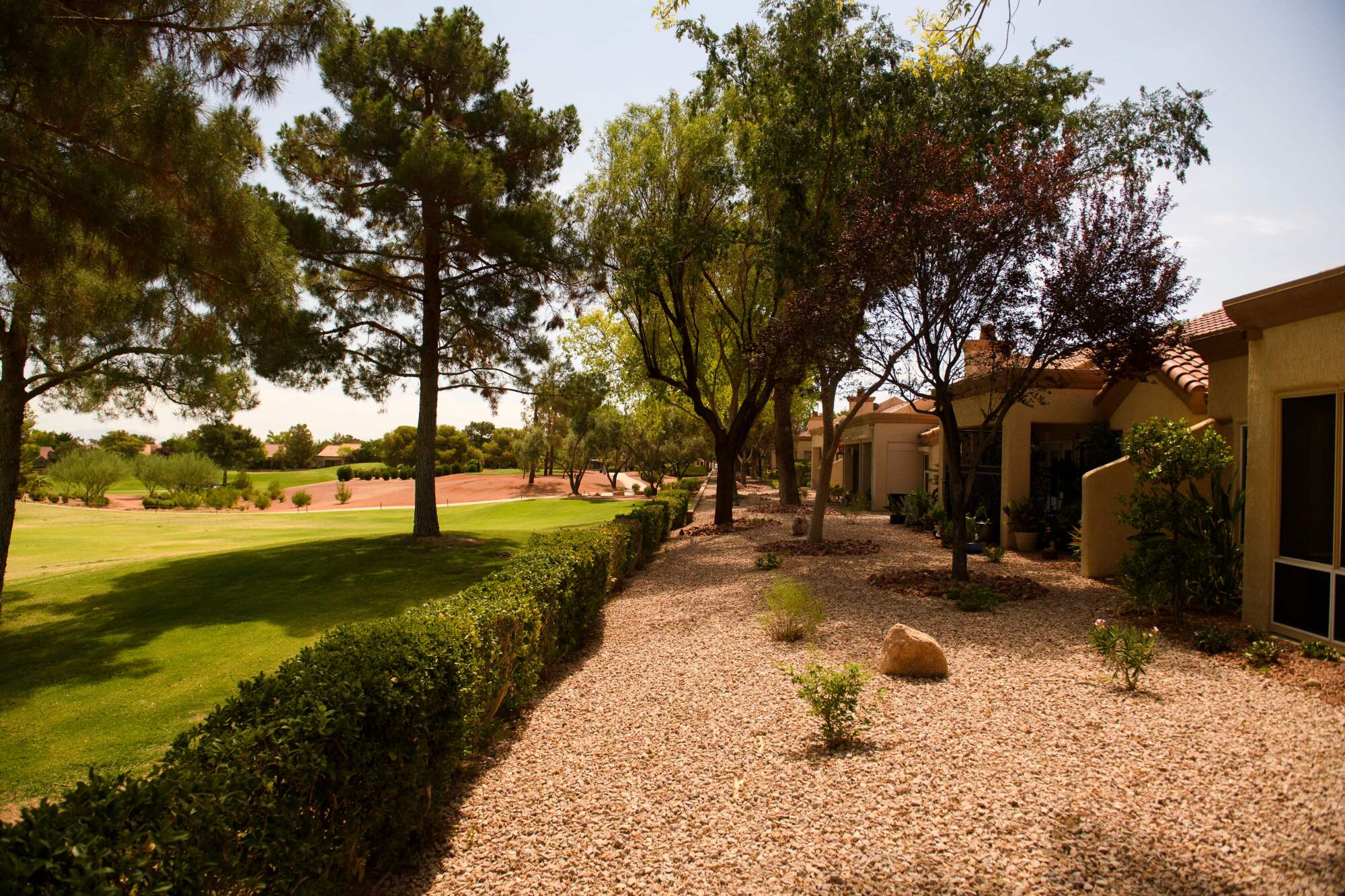 A row of homes and trees next to a golf course