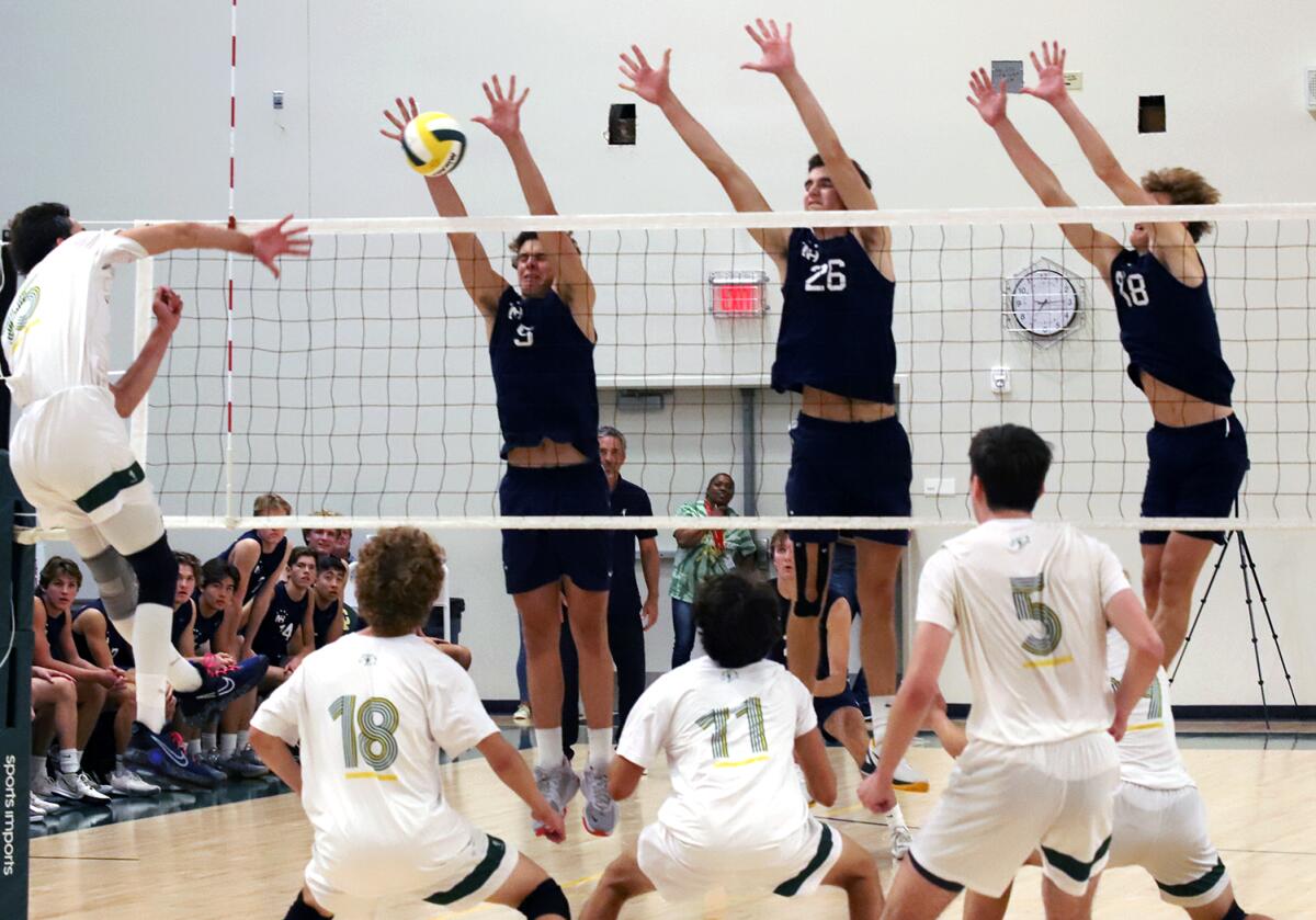 Newport Harbor's Riggs Guy (5), James Eadie (26) and Luca Curci (18) put up a triple block against Mira Costa on Saturday.