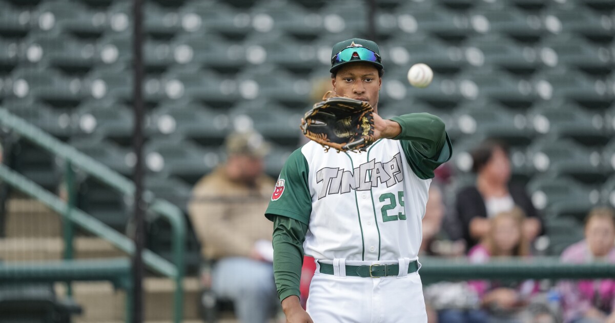 Minors: Joshua Mears working way back in rookie ball