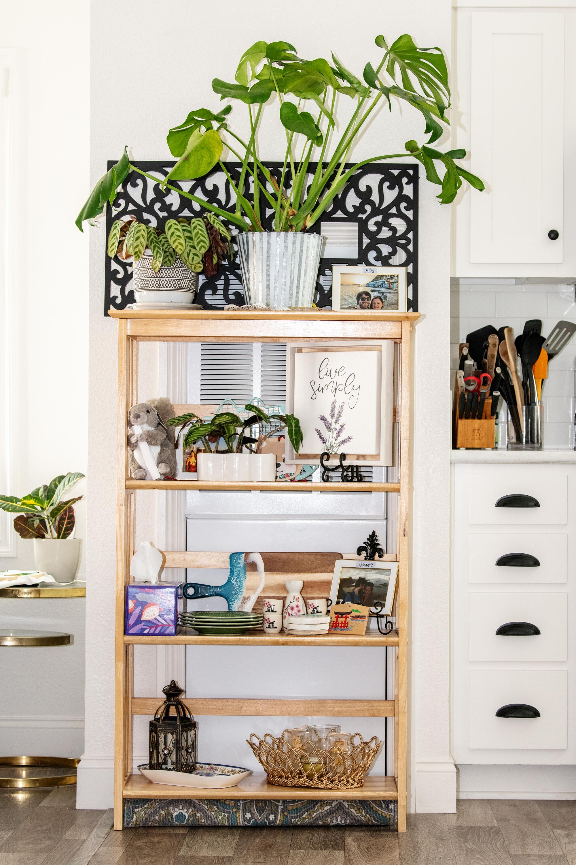 A bookshelf in a kitchen with plants 