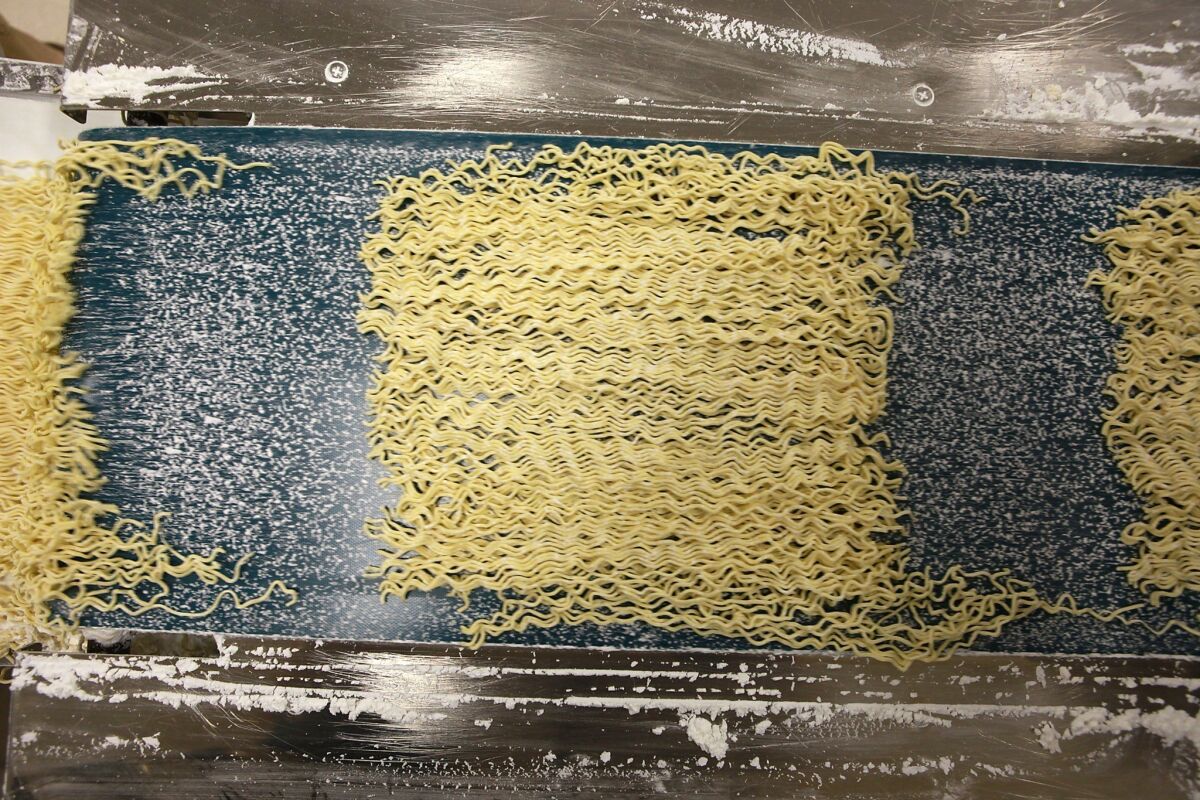 Freshly cut ramen noodles move along a conveyor belt. One noodle type made for a restaurant in Texas is called TS24W. The TS stands for tokusen, which means "specially selected." The 24 indicates that 24 noodles are cut from a width of 3 centimeters of dough. The W means the noodles are wavy.